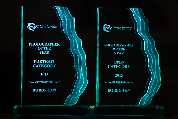 2015 PPLAC Photographer of the Year (Portrait & Open)