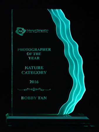 2016 PPLAC Photographer of the Year (Nature Category)