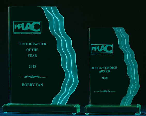 2018 PPLAC Judge's Choice & Photographer of the Year