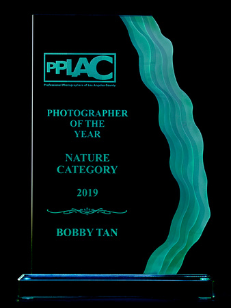 2019 PPLAC Photographer of the Year (Nature Category)