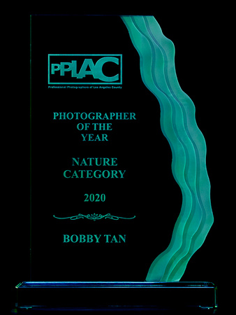 2020 PPLAC Photographer of the Year (Nature Category)