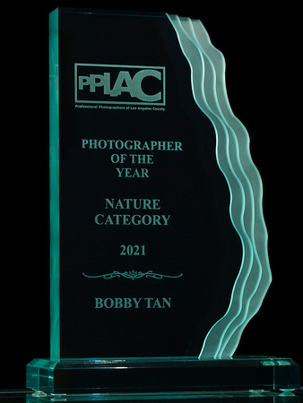 2021 PPLAC Photographer of the Year (Nature Category)
