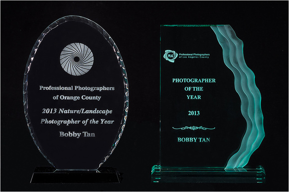 2013 PPLAC/PPOC Awards & Photographer of the Year