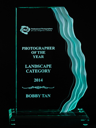 2014 PPLAC Photographer of the Year (Landscape Category)